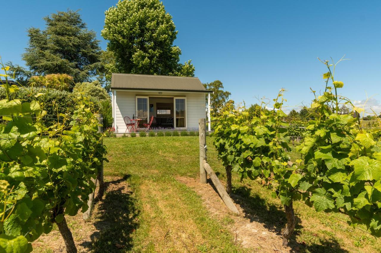 Kina Beach Cottages Tasman Εξωτερικό φωτογραφία